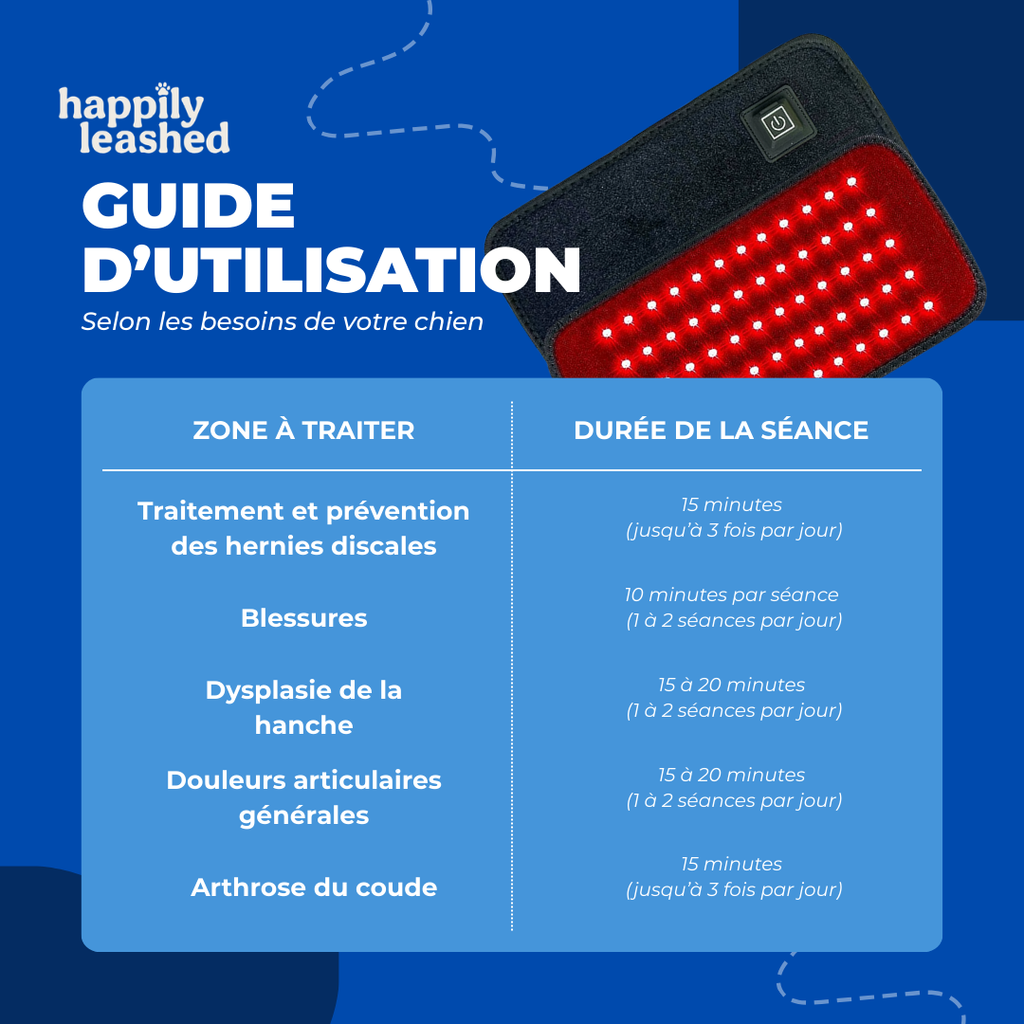 Thérapie lumière rouge recommandée par les vétérinaires