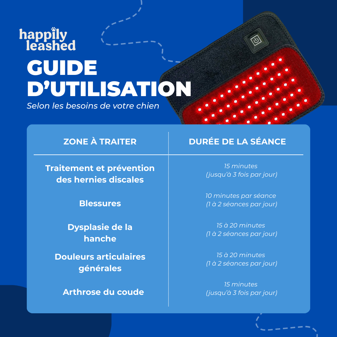 Thérapie lumière rouge recommandée par les vétérinaires