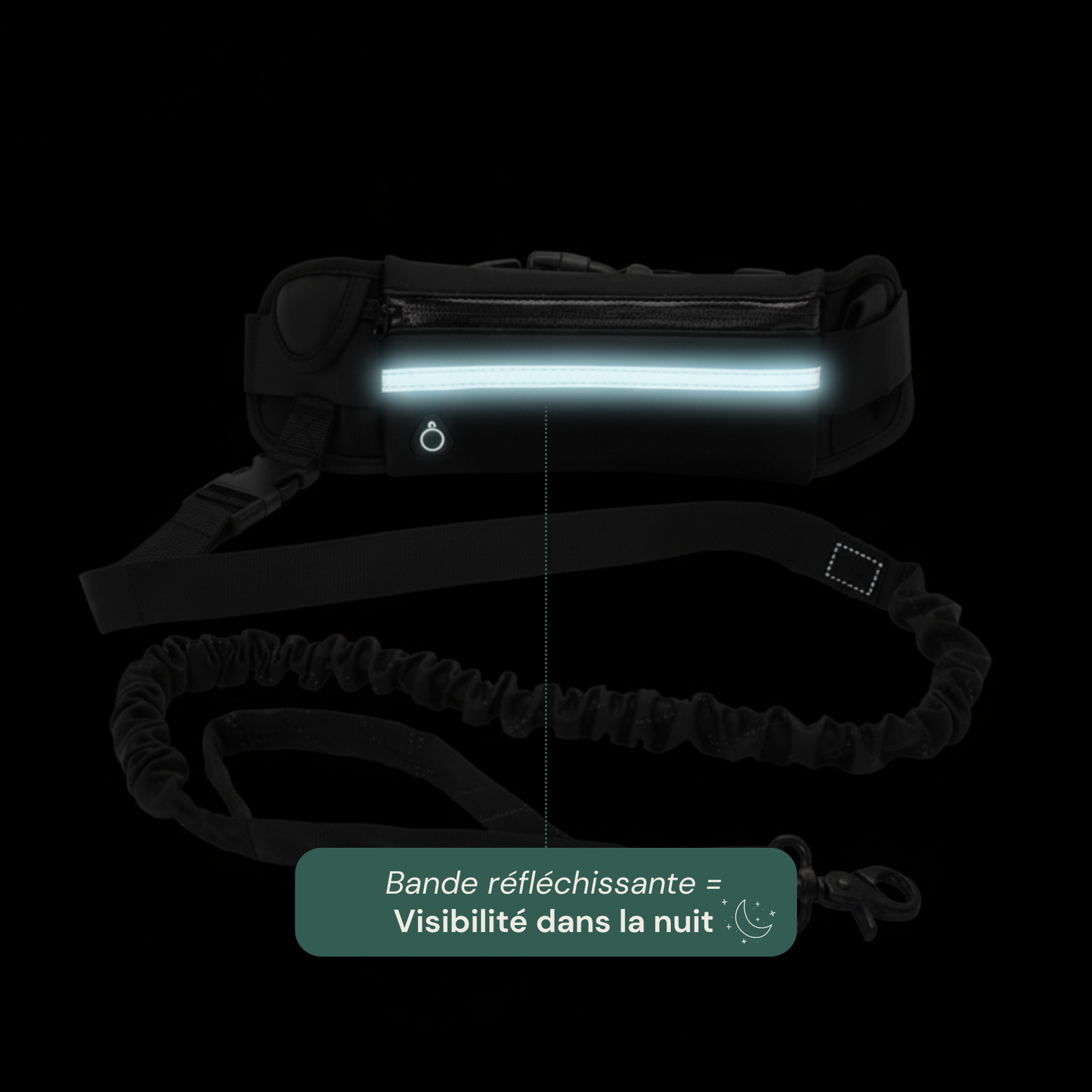 Laisse mains libres avec ceinture et pochette réfléchissante