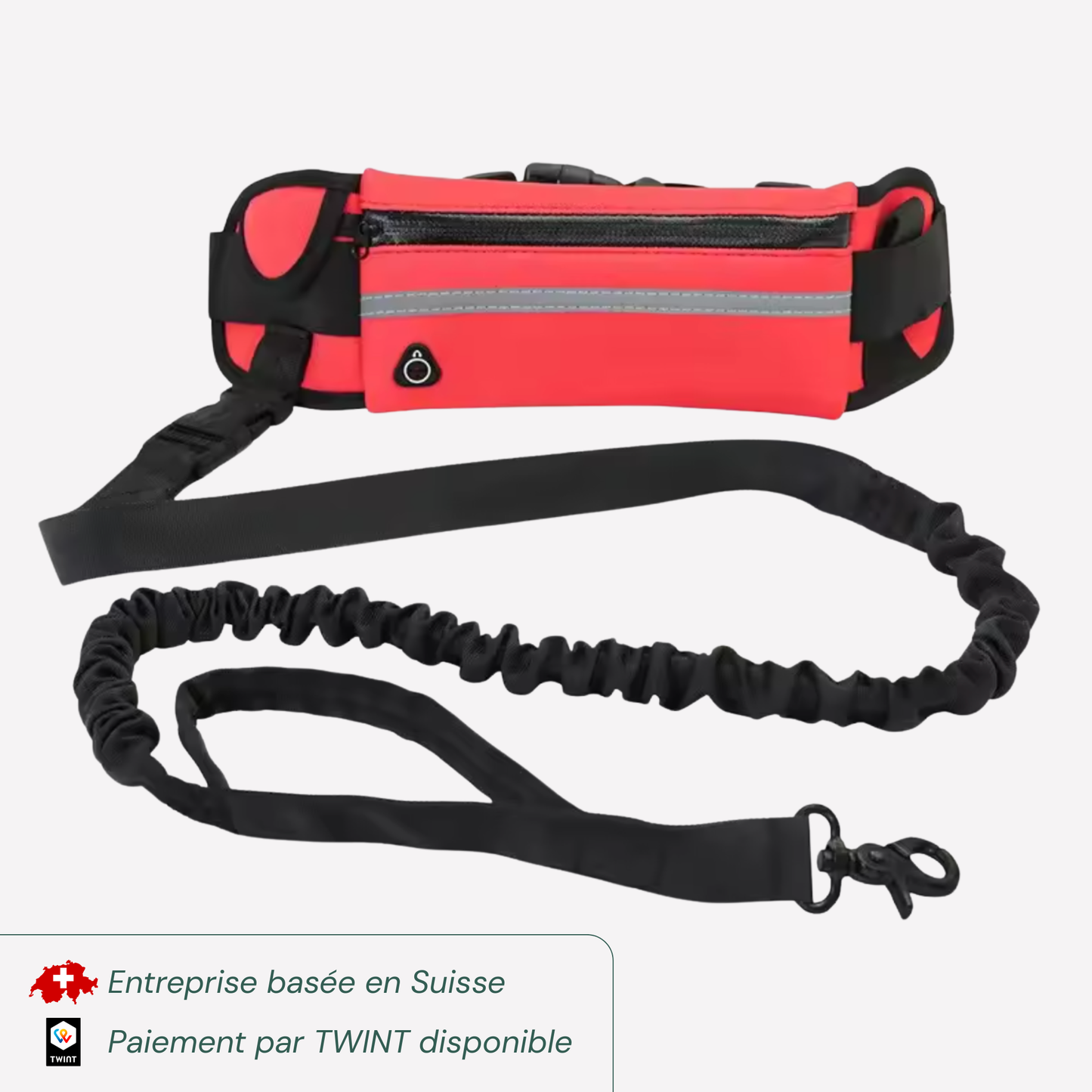 Laisse mains libres avec ceinture et pochette réfléchissante