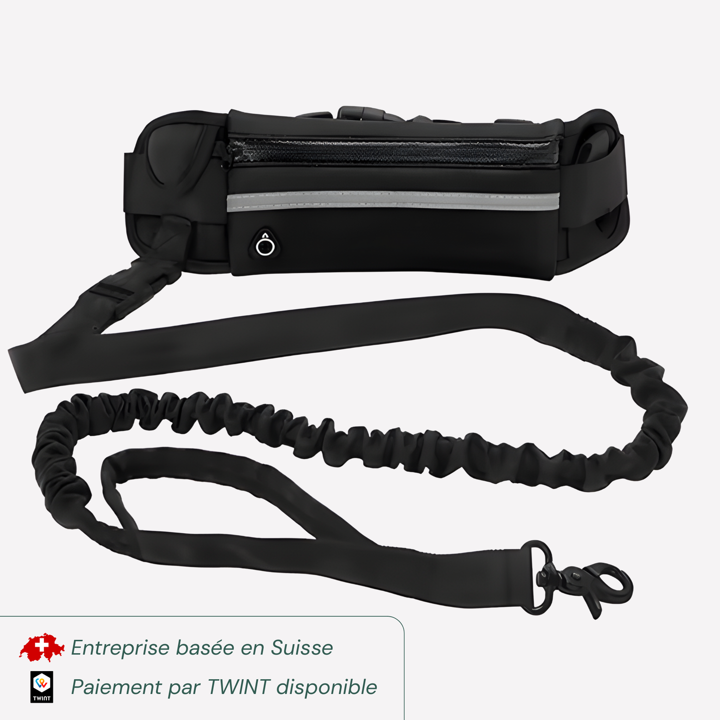 Laisse mains libres pour chien avec ceinture et pochette réfléchissante