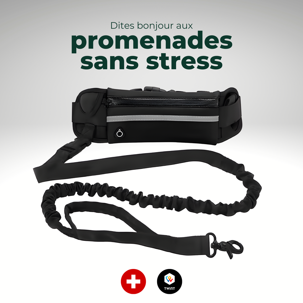 Laisse mains libres avec ceinture et pochette réfléchissante