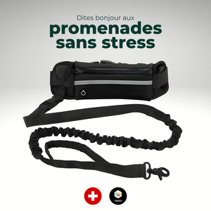 Laisse mains libres avec ceinture et pochette réfléchissante